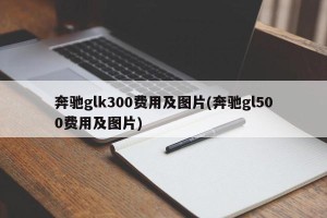 奔驰glk300费用及图片(奔驰gl500费用及图片)
