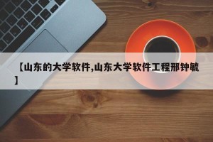 【山东的大学软件,山东大学软件工程邢钟毓】