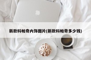 新款科帕奇内饰图片(新款科帕奇多少钱)