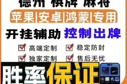 3分钟教程“十三水开挂方法”挂辅助教程