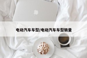 电动汽车车型/电动汽车车型销量
