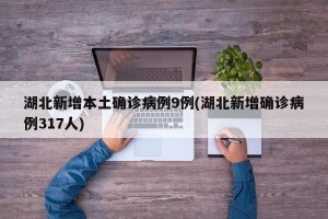 湖北新增本土确诊病例9例(湖北新增确诊病例317人)