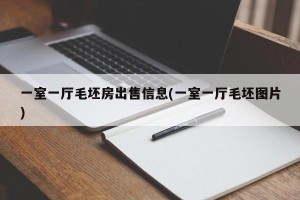 一室一厅毛坯房出售信息(一室一厅毛坯图片)