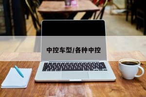 中控车型/各种中控