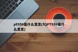 pt950是什么意思(fQPT950是什么意思)