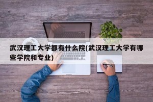 武汉理工大学都有什么院(武汉理工大学有哪些学院和专业)