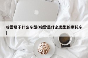 哈雷属于什么车型(哈雷是什么类型的摩托车)