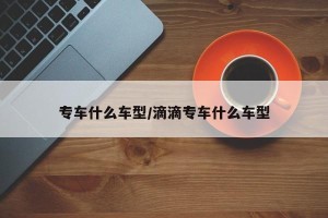 专车什么车型/滴滴专车什么车型