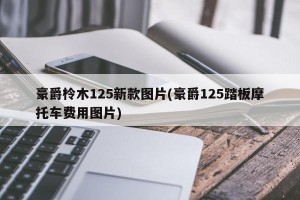 豪爵柃木125新款图片(豪爵125踏板摩托车费用图片)