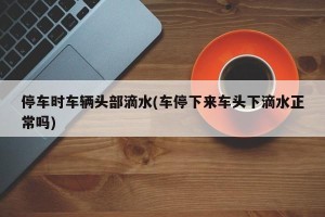 停车时车辆头部滴水(车停下来车头下滴水正常吗)
